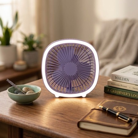 Portable Rechargeable Fan With Light